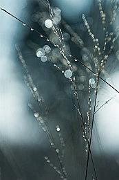 《地狱之刃2：塞娜的史诗》迎Steam新史低！3.5折仅需86.8元